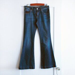 DL1961 Joy Nirvana High Rise Flare Size 30 (fits like a 29)
